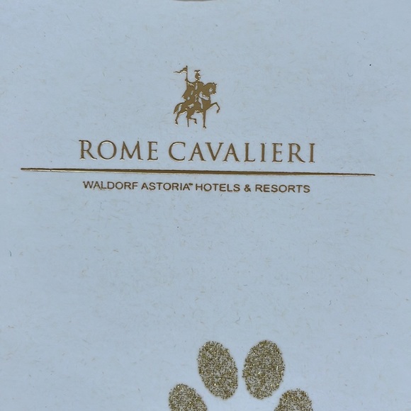 PET IN ROOM - “Do Not Disturb” Rome Cavalieri hotel door hanger - Picture 3 of 12